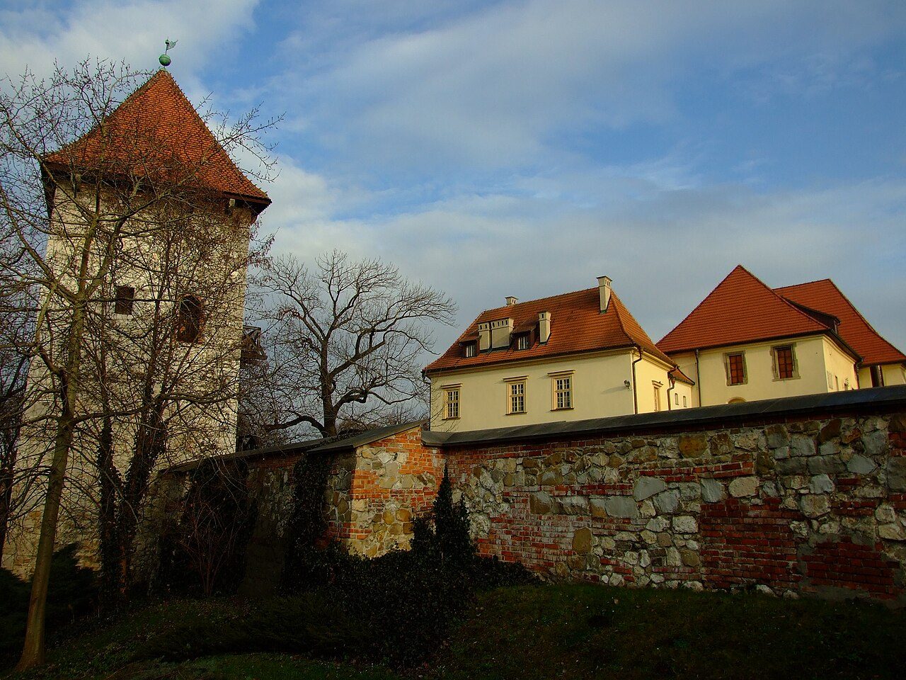 Zamek Żupny